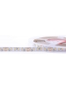 Strip LED Striscia 600SMD2835 24V IP20 90W Super Luminoso CRI90 Luce Calda 1961