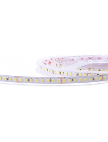 strip led 60w 800smd2835 h. e. ra80 150lm/w ip20 24v 3000k luce calda 2581