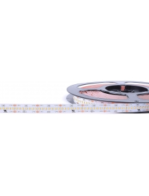 strip led serie high density 100w luce fredda striscia led luce omogenea 16,9w a metro 24v ip20 pcb 10mm bobina da 1400 smd 2216