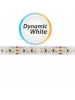 Strip striscia led 12v ip68 72w luce calda/fredda smd 5025 elt025