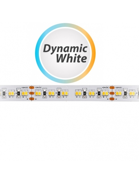 Strip striscia led 12v ip68 72w luce calda/fredda smd 5025 elt025