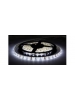 Striscia strip led 12v 48w luce fredda 6000°k ip68 stagna smd3528 elt004