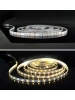 Strip striscia led 12v ip68 72w luce calda/fredda smd 5025 elt025