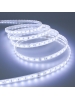 striscia strip led 12V 300SMD5050 bianco freddo 6000K tubo silicone IP67 0455