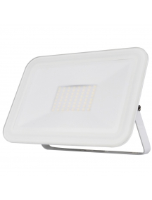 faro proiettore led 50w luce calda ARTFLT50