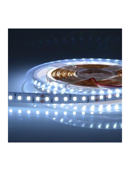 Strisce Led 3014 100W 840SMD 6MM Slim Strip Luminosa 5M 24 Volt Bianco Caldo 1692