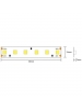 Strisce Led 3014 100W 840SMD 6MM Slim Strip Luminosa 5M 24 Volt Bianco Caldo 1692