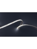 Strisce Led 3014 100W 840SMD 6MM Slim Strip Luminosa 5M 24 Volt Bianco Caldo 1692