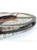 strip led striscia 12v 24w bianco bobina 5 metri  300smd3528 ip65 luce naturale  1800 lumen impermeabile 0684