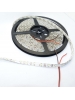 strip led striscia 12v 24w bianco bobina 5 metri  300smd3528 ip65 luce naturale  1800 lumen impermeabile 0684
