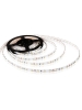 strip led striscia bobina 5 metri 3600 lumen  12v 48w 600smd 3528 ip20 luce naturale  pcb 8mm  5550