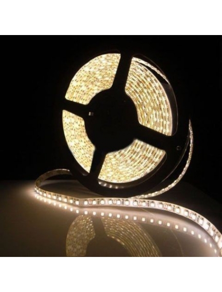 strip led cl60048 2835 9.6w/mt ip65-tr 12v 4000k inn 6875