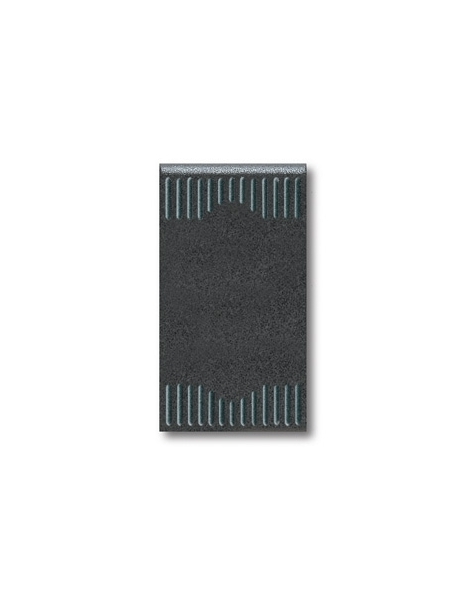 AVE45302