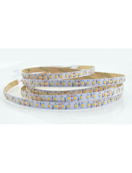 Strisce Led 3014 100W 840SMD 6MM Slim Strip Luminosa 5M 24 Volt Bianco Caldo 1692