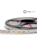 striscia strip led 12V 300SMD5050 bianco freddo 6000K tubo silicone IP67 0455