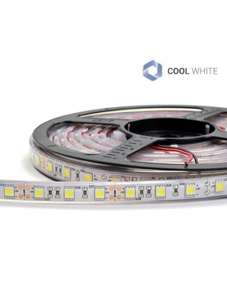 striscia strip led 12V 300SMD5050 bianco freddo 6000K tubo silicone IP67 0455