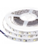 striscia strip led 24V 300SMD5050 RGB + WW calda 3000K 72W 5M Raw IP20 2095
